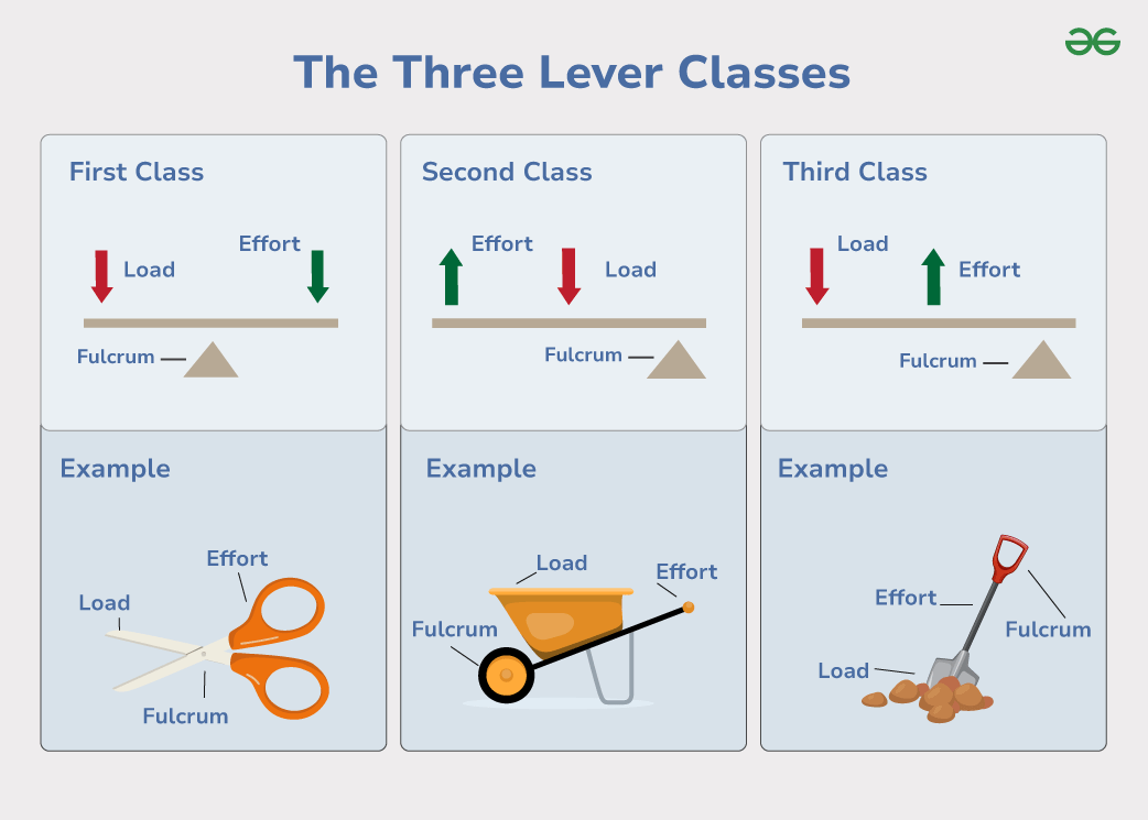 Classes of Lever